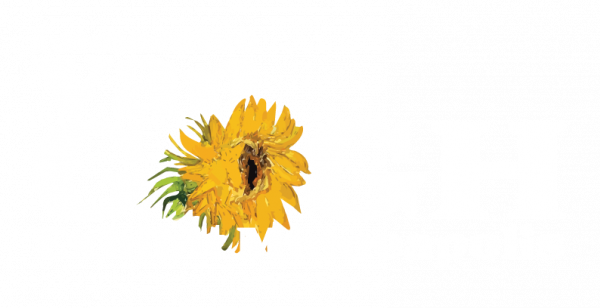 Van Gogh Exhibit Minneapolis: The Immersive Experience